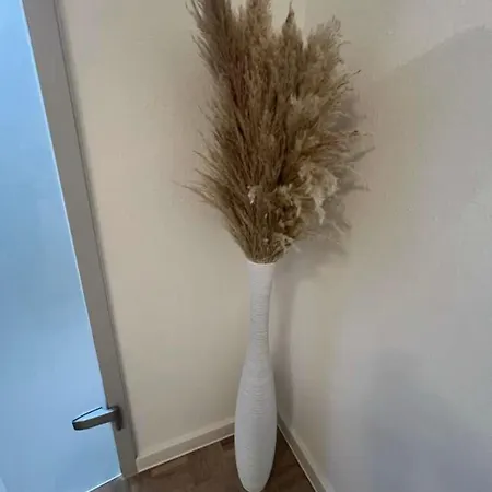 Innenstadt Ruhiges Und Zentrale * ケルン